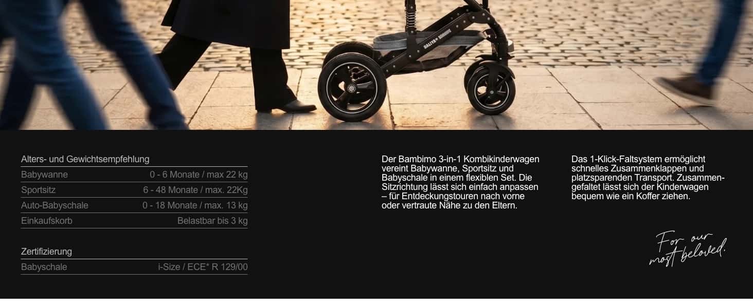 Bambimo 3in1 Kinderwagen
