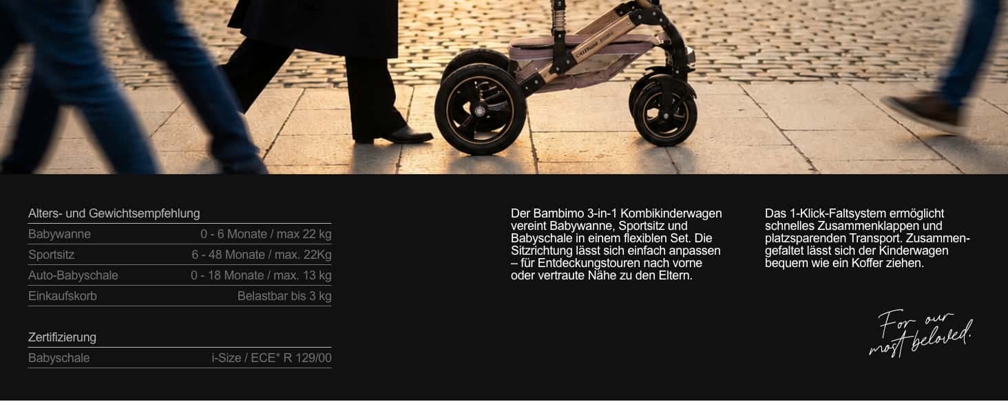 Bambimo 3in1 Kinderwagen