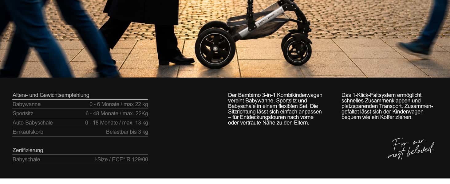 Bambimo 3in1 Kinderwagen
